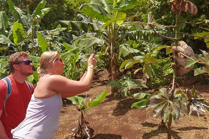 5 in 1 sloth, Rainforest, waterfalls, hanging bridges, volcanic activity tour. - Photo 1 of 25